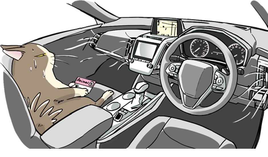 Automobile Interior