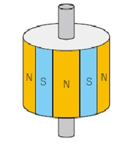 PM stepping motor rotor